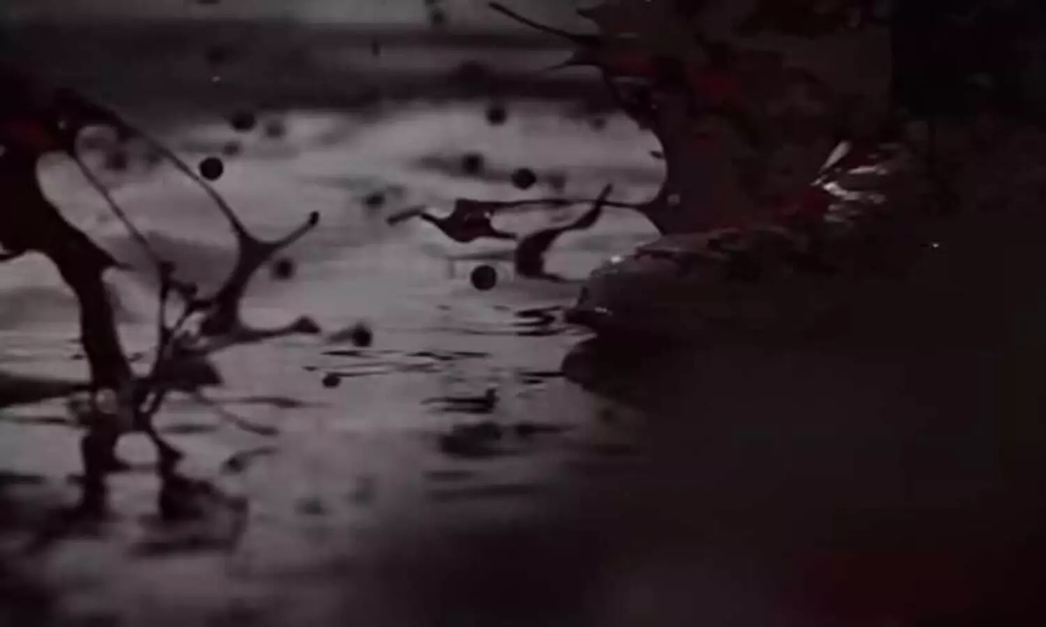 മാർക്കോയുടെ വരവിന് മുന്നോടിയായി റാപ്പർ ഡബ്‌സി പാടിയ പാട്ട് എത്തുന്നു