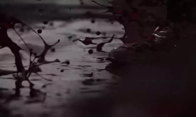 മാർക്കോയുടെ വരവിന് മുന്നോടിയായി റാപ്പർ ഡബ്സി പാടിയ പാട്ട് എത്തുന്നു മാർക്കോയുടെ വരവിന് മുന്നോടിയായി റാപ്പർ ഡബ്സി പാടിയ പാട്ട് എത്തുന്നു