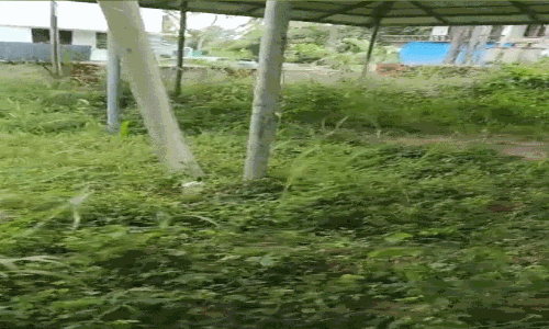 Arur Gram Panchayat Public Crematorium