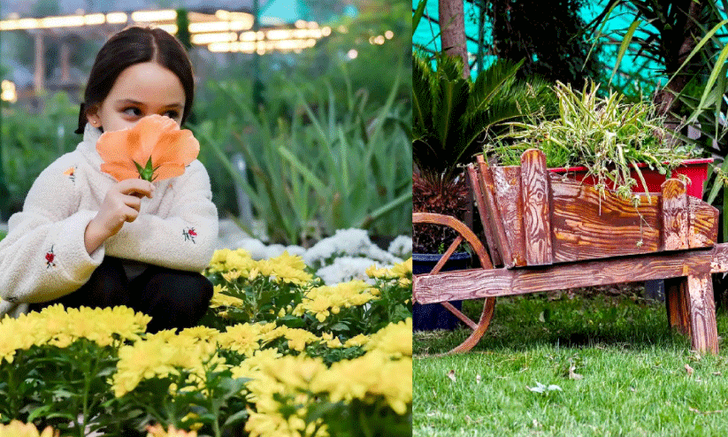 കാർഷിക നഴ്സറികൾ കാർഷിക നഴ്സറികൾ