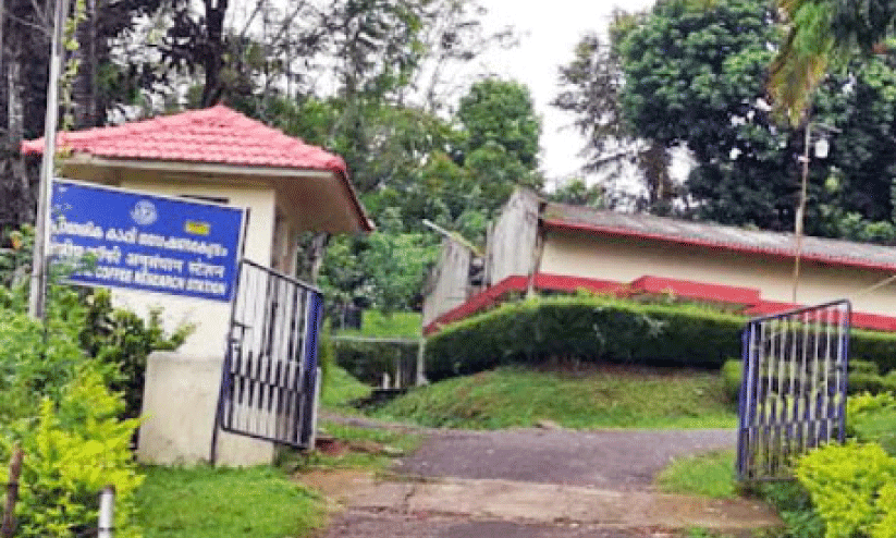 Coffee board subsidy,