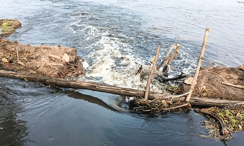കൊച്ചുപള്ളം പാടശേഖരത്തിൽ മടവീണ്​ വ്യാപക കൃഷിനാശം
