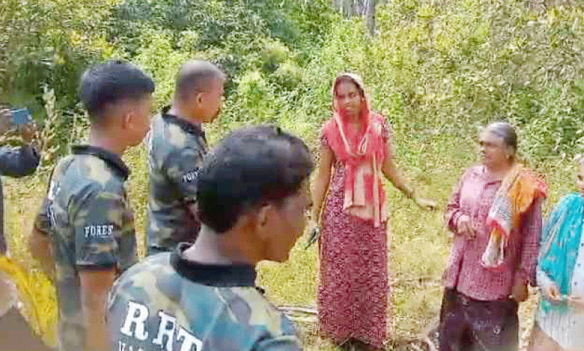 Tiger attack Tiger attack