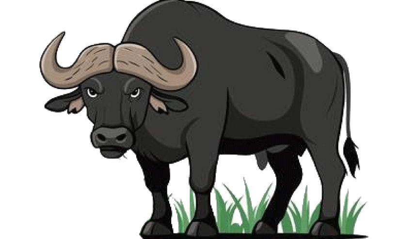 നാശം വിതച്ച് കാട്ടാനയും കടുവയും പിന്നെ കാട്ടുപോത്തും; അധികൃതർ മൗനത്തിൽ നാശം വിതച്ച് കാട്ടാനയും കടുവയും പിന്നെ കാട്ടുപോത്തും; അധികൃതർ മൗനത്തിൽ