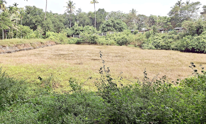 Vellamchira, Vellamchira,