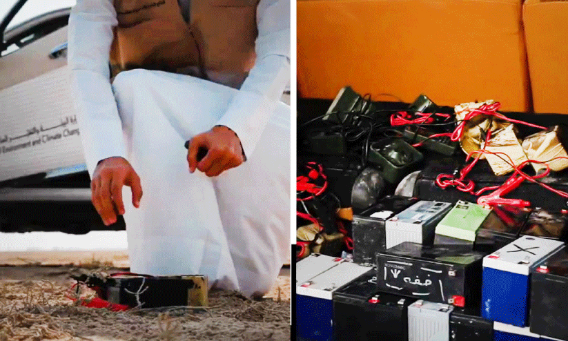 Birds sounds Birds sounds