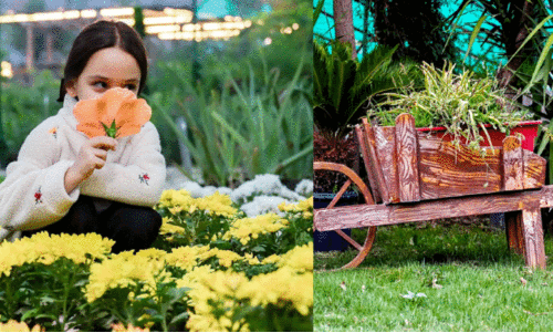 കാ​ർ​ഷി​ക ന​ഴ്‌​സ​റി​ക​ൾ