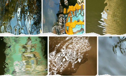 കാ​ഴ്ച​യു​ടെ വി​സ്മ​യം തീ​ർ​ത്ത് ര​ഞ്ജി​ത്ത് മാ​ധ​വ​ന്റെ ചി​ത്ര​ങ്ങ​ൾ