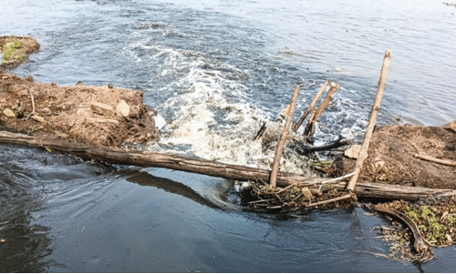 കൊച്ചുപള്ളം പാടശേഖരത്തിൽ മടവീണ്​ വ്യാപക കൃഷിനാശം