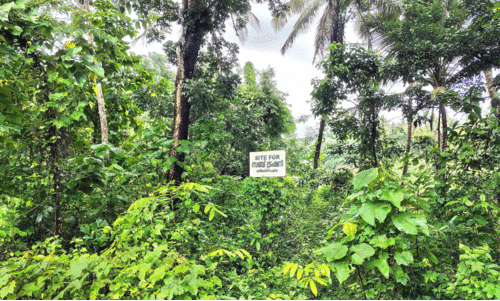 Srikanthpuram Sub-Treasury