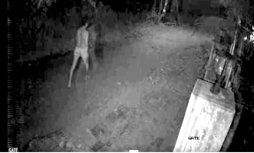 കുന്നുമ്പുറത്ത്​ അജ്ഞാതനെ കണ്ടെന്ന്​; നാട്ടുകാർ ‘കുറുവ’ പേടിയിൽ