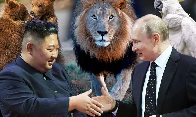 ഉത്തരകൊറിയൻ മൃഗശാലക്ക്   സിംഹത്തെയും കരടികളെയും സമ്മാനിച്ച് പുടി​ൻ