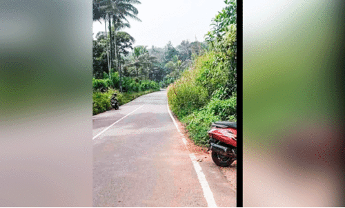 ഇരുവശവും കാടുകയറി; പെരുംതൊട്ടി-പ്രകാശ് റോഡിൽ അപകടം തുടർക്കഥ ഇരുവശവും കാടുകയറി; പെരുംതൊട്ടി-പ്രകാശ് റോഡിൽ അപകടം തുടർക്കഥ