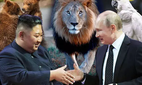 ഉത്തരകൊറിയൻ മൃഗശാലക്ക്   സിംഹത്തെയും കരടികളെയും സമ്മാനിച്ച് പുടി​ൻ