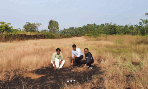 കാ​ഞ്ഞി​ര​പ്പൊ​യി​ലി​ൽ ച​രി​ത്രാ​തീ​ത​കാ​ല​ത്തെ പാ​ദ​മു​ദ്ര​ക​ളും മ​നു​ഷ്യ രൂ​പ​വും ക​ണ്ടെ​ത്തി