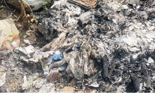 മാ​ലി​ന്യ സം​സ്ക​ര​ണം; 15,000 രൂ​പ പി​ഴ ചു​മ​ത്തി