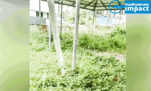 ‘ശാന്തിഭൂമി’യിൽനിന്ന്​ കാടൊഴിഞ്ഞു