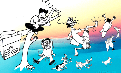 കടിച്ചുകീറി തെരുവ്​നായ്ക്കൾ;​ 21 ദിവസം കൊണ്ട് കടിയേറ്റത്​ 1784 പേർക്ക്