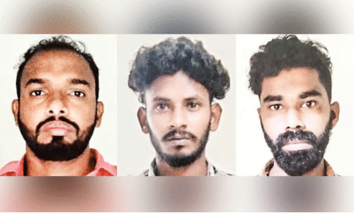 മറയൂർ ചന്ദനമോഷണം; മൂന്ന് പ്രതികൾ കസ്റ്റഡിയിൽ മറയൂർ ചന്ദനമോഷണം; മൂന്ന് പ്രതികൾ കസ്റ്റഡിയിൽ
