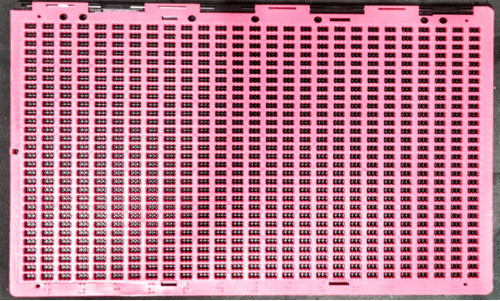 സാക്ഷരത പഠനത്തിന് പദ്ധതി സാക്ഷരത പഠനത്തിന് പദ്ധതി