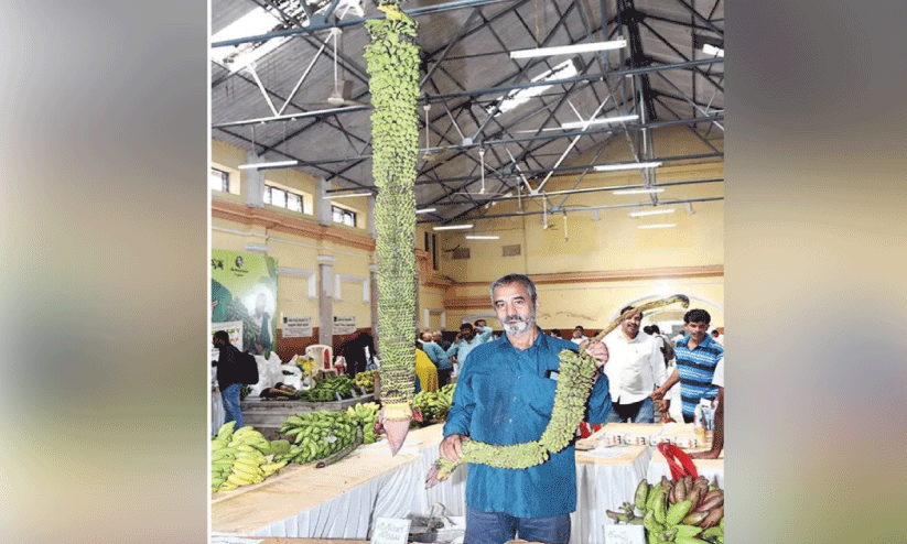 വാ​ഴ​ക്കു​ല മേ​ള​യി​ൽ വി​സ്മ​യ​മാ​യി മ​ല​യാ​ളി ക​ർ​ഷ​ക​ന്റെ 16 അ​ടി കു​ല