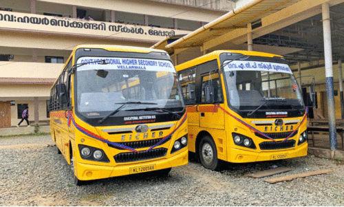 school bus school bus