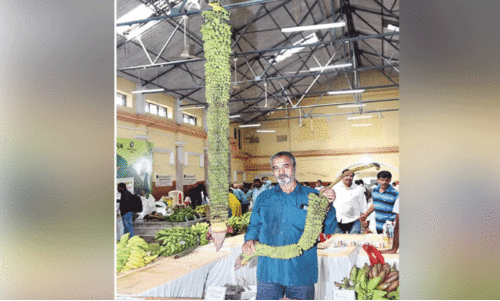 വാ​ഴ​ക്കു​ല മേ​ള​യി​ൽ വി​സ്മ​യ​മാ​യി മ​ല​യാ​ളി ക​ർ​ഷ​ക​ന്റെ 16 അ​ടി കു​ല