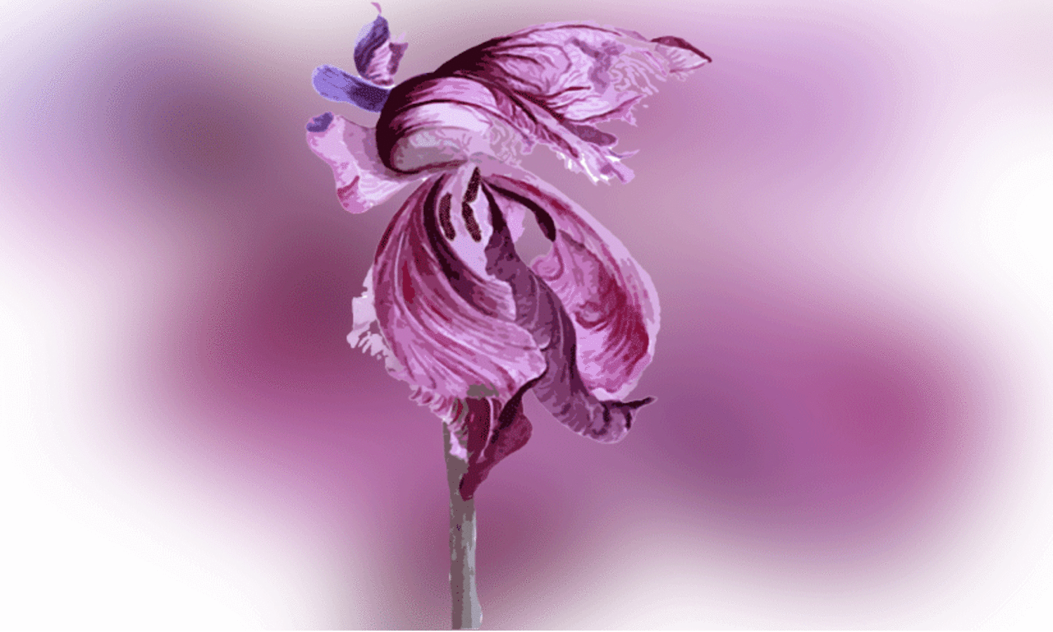 അയാളുടെ രാത്രിയുറക്കത്തിന് മുമ്പ് എഴുതിയത്