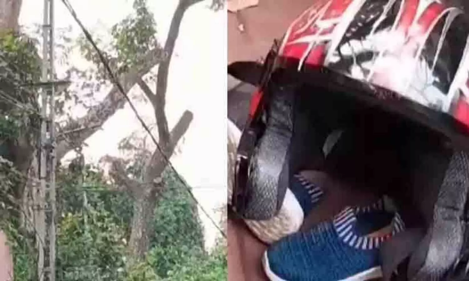 കയർ കഴുത്തിൽ കുരുങ്ങി ബൈക്ക് യാത്രികന് ദാരുണാന്ത്യം, മരംമുറിക്കാനായി റോഡിന് കുറുകെ കെട്ടിയതായിരുന്നു കയർ