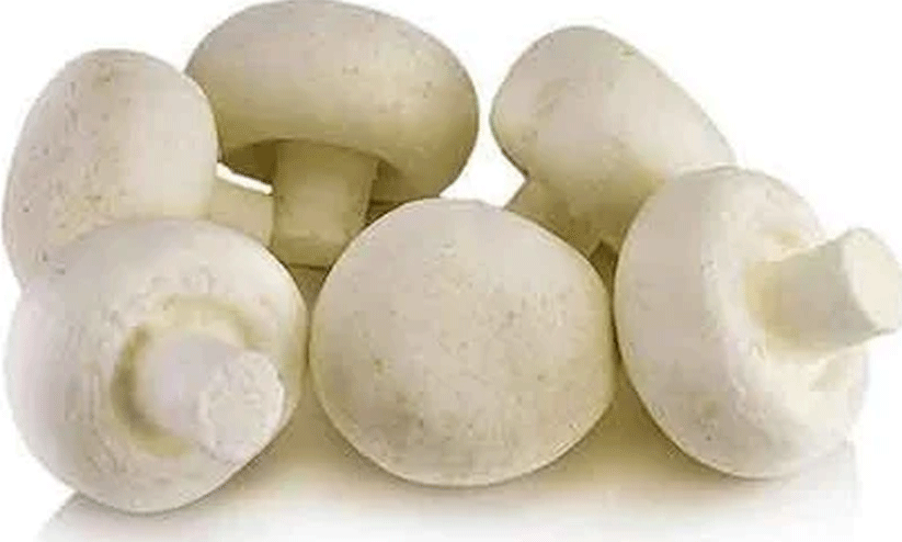 കേരളത്തിൽ കൂണുകൾ പലതരം; 10 എണ്ണം കൊടുംവിഷം കേരളത്തിൽ കൂണുകൾ പലതരം; 10 എണ്ണം കൊടുംവിഷം