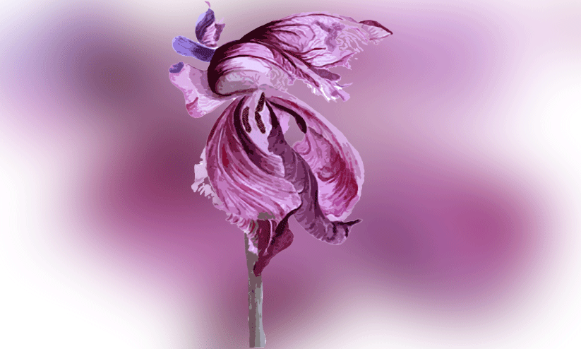 അയാളുടെ രാത്രിയുറക്കത്തിന് മുമ്പ് എഴുതിയത് അയാളുടെ രാത്രിയുറക്കത്തിന് മുമ്പ് എഴുതിയത്