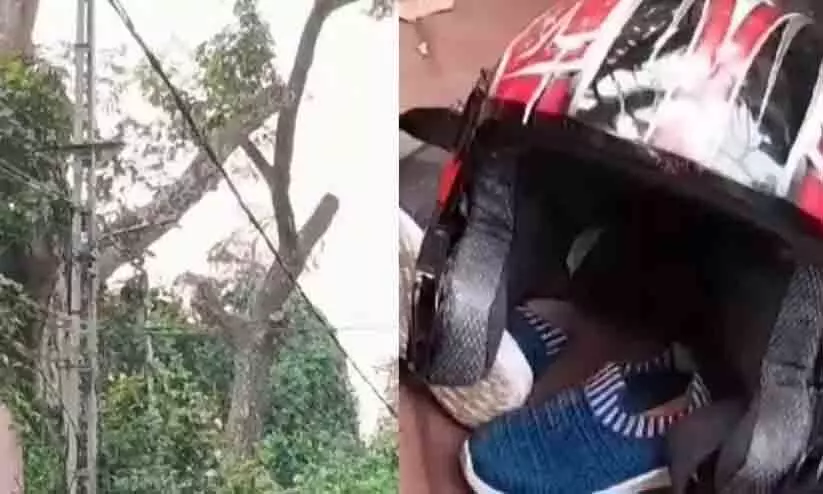 കയർ കഴുത്തിൽ കുരുങ്ങി ബൈക്ക് യാത്രികന് ദാരുണാന്ത്യം, മരംമുറിക്കാനായി റോഡിന് കുറുകെ കെട്ടിയതായിരുന്നു കയർ