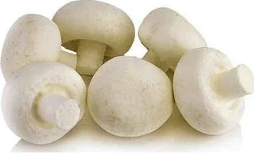 കേ​ര​ള​ത്തി​ൽ കൂ​ണു​ക​ൾ പ​ല​ത​രം; 10 എ​ണ്ണം കൊ​ടും​വി​ഷം