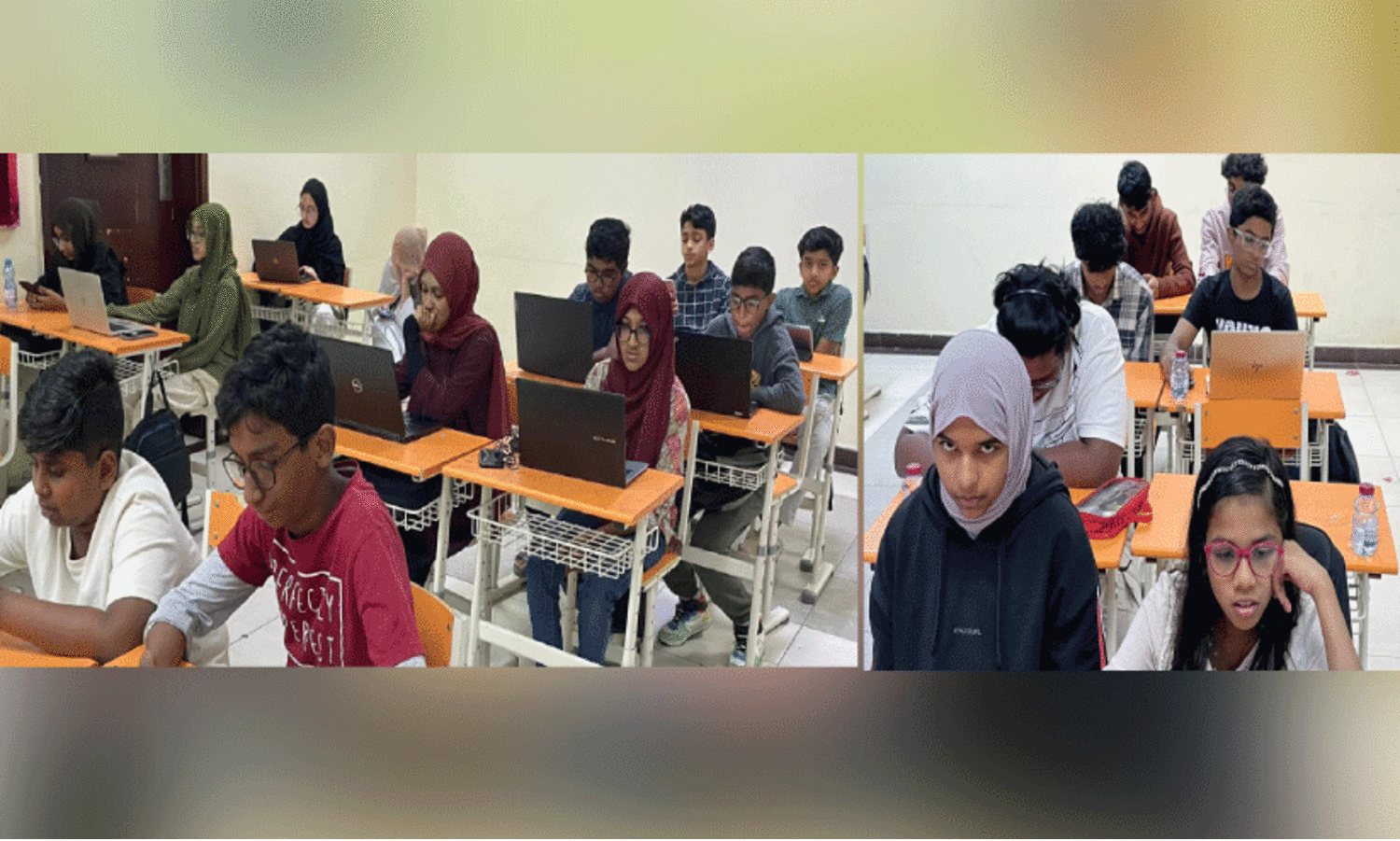 Multiple Intelligence Assessment Test