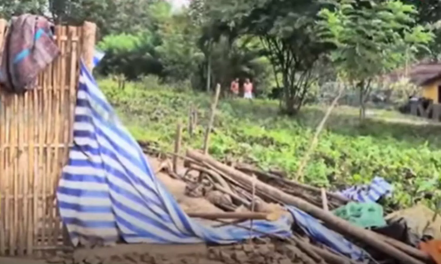 വയനാട് വന്യജീവി സങ്കേതത്തിലെ ആദിവാസി കുടിലുകൾ പൊളിച്ച ഉദ്യോഗസ്ഥർക്കെതിരെ നടപടി -മന്ത്രി