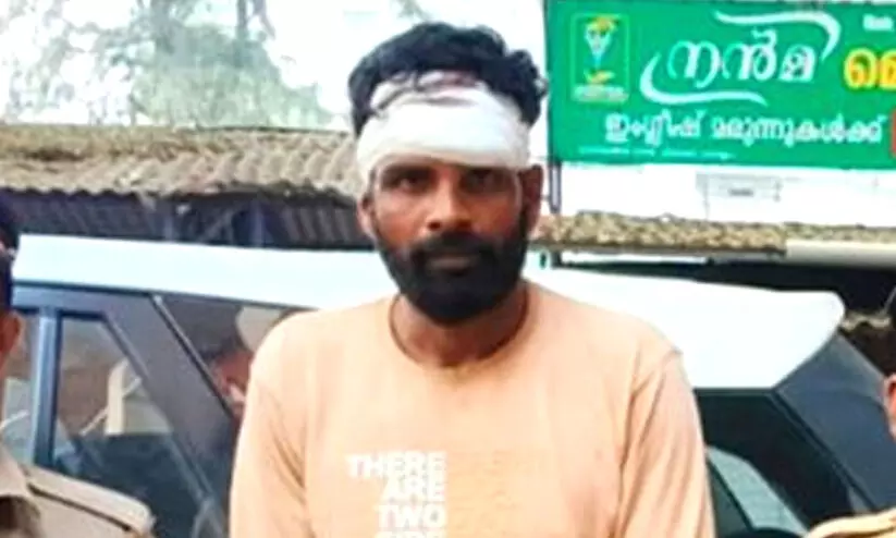 manu mohan 987986 manu mohan 987986