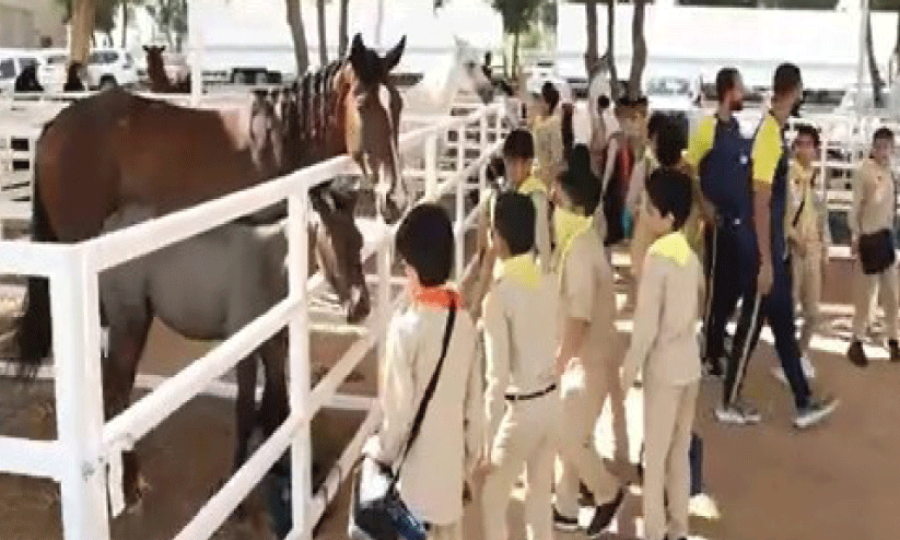 Marae 2024, Marae 2024,