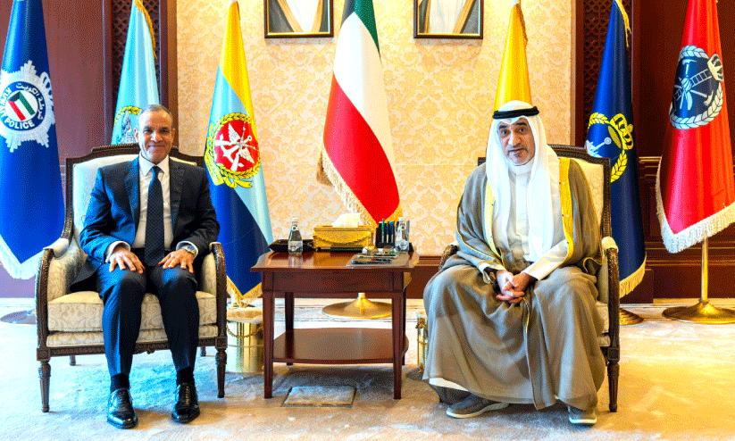 Egyptian Foreign Minister Egyptian Foreign Minister