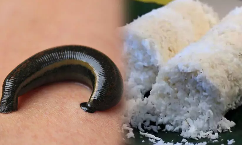 ഹെൽത്ത് സെന്റർ കാന്റീനിലെ പുട്ടിൽ ജീവനുള്ള അട്ട ഹെൽത്ത് സെന്റർ കാന്റീനിലെ പുട്ടിൽ ജീവനുള്ള അട്ട