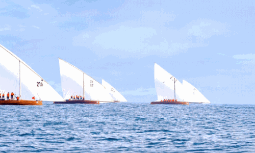 4th Al Sila Marine Festival