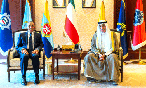 Egyptian Foreign Minister