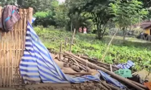 വയനാട് വന്യജീവി സങ്കേതത്തിലെ ആദിവാസി കുടിലുകൾ പൊളിച്ച ഉദ്യോഗസ്ഥർക്കെതിരെ നടപടി -മന്ത്രി