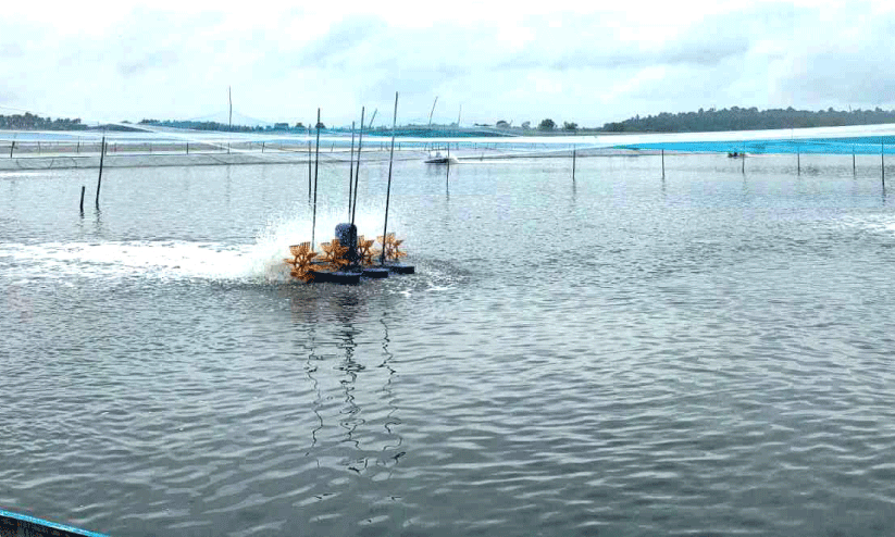 thrissur news thrissur news