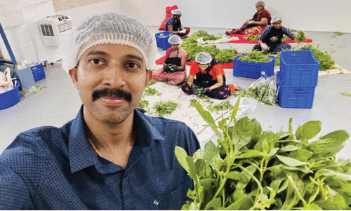 വെബ് ഡിസൈനിങ് കമ്പനിയിലെ ജോലി രാജിവെച്ച് ശ്രീറാം പ്രസാദ് ഇലകളിൽനിന്ന് മൂല്യവർധിത ഉൽപന്നങ്ങൾ നിർമിക്കുന്ന കമ്പനി തുടങ്ങി; ഇന്ന് വാർഷിക വിറ്റുവരവ് 1.3 കോടി! വെബ് ഡിസൈനിങ് കമ്പനിയിലെ ജോലി രാജിവെച്ച് ശ്രീറാം പ്രസാദ് ഇലകളിൽനിന്ന് മൂല്യവർധിത ഉൽപന്നങ്ങൾ നിർമിക്കുന്ന കമ്പനി തുടങ്ങി; ഇന്ന് വാർഷിക വിറ്റുവരവ് 1.3 കോടി!