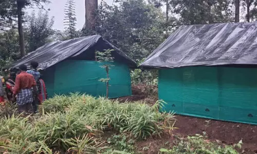 പൊ​ളി​ച്ച​വ​ക്ക് പ​ക​രം ആദിവാസികൾക്ക് കു​ടി​ലു​ക​ൾ പ​ണി​ത് വ​ന​പാ​ല​ക​ർ​