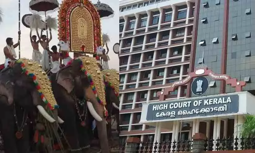 Elephant Processions- High Court Of Kerala Elephant Processions- High Court Of Kerala