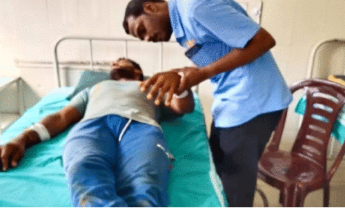 തേ​നീ​ച്ച​യു​ടെ കു​ത്തേ​റ്റ് അ​ഞ്ചു​പേ​ർ ആ​ശു​പ​ത്രി​യി​ൽ