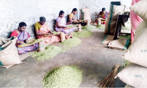 ഏലം വിലവർധന​ തടയാൻ വ്യാപാരികളുടെ   റീ പൂളിങ് കള്ളക്കളി