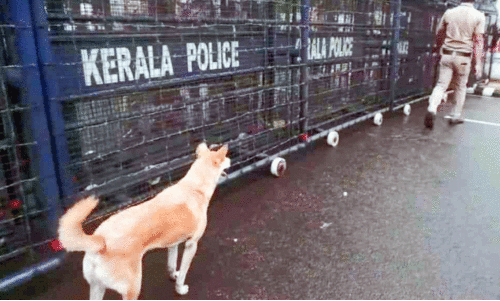തൃക്കാക്കര പൊലീസ് സ്റ്റേഷനിലെ ‘കാവൽക്കാരൻ ടൈഗർ’ ഇനിയില്ല