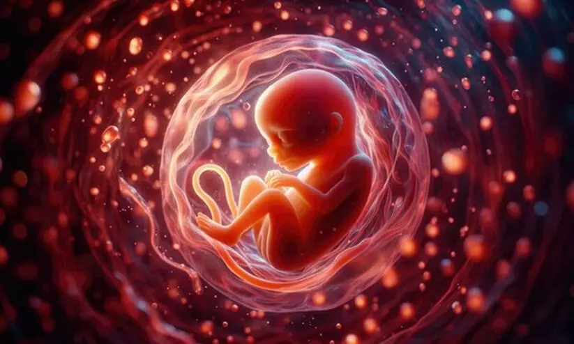 Unborn Child Unborn Child